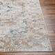preview thumbnail 5 of 12, Livabliss Lillian Transitional Medallion Machine Washable Area Rug