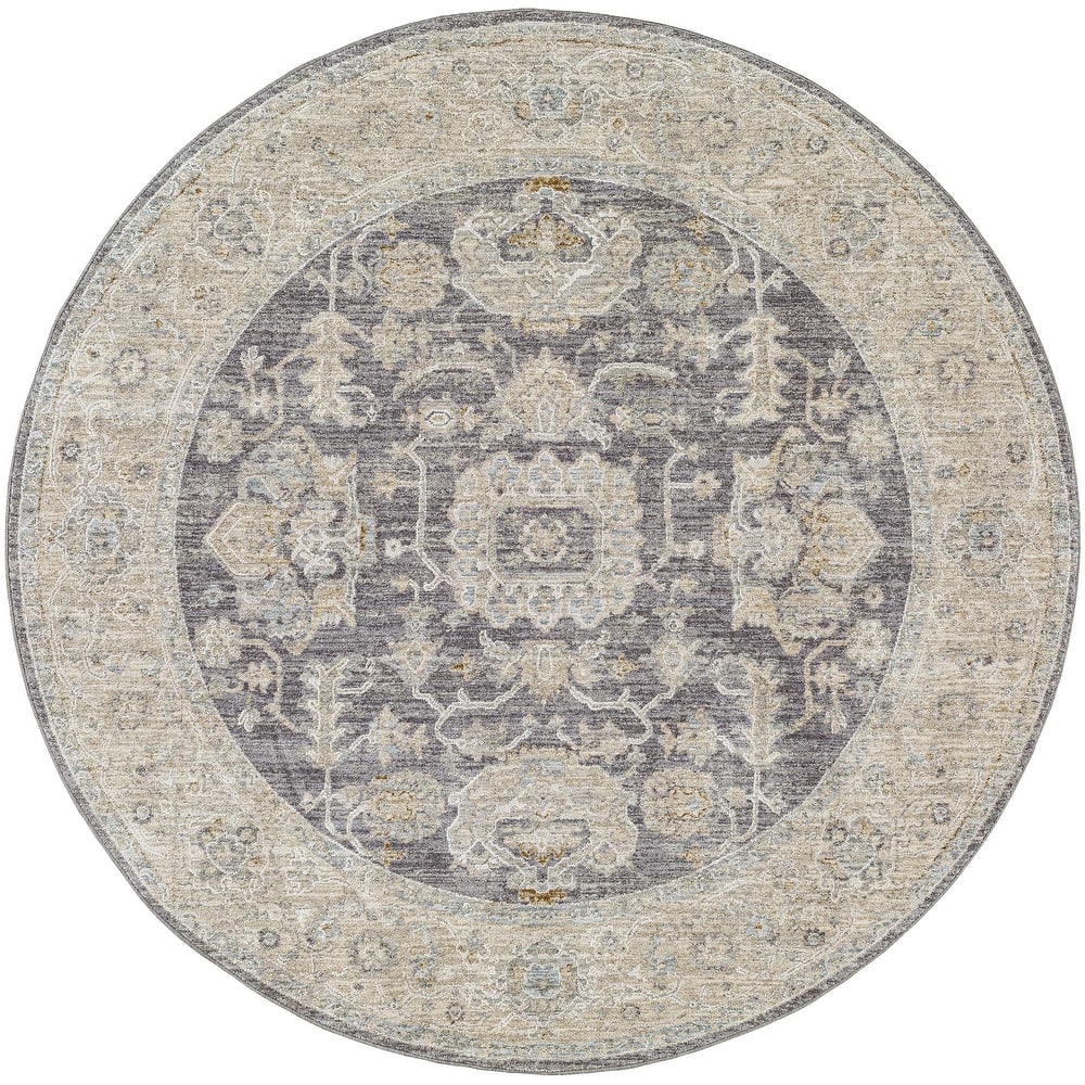 Anthony Traditional Area Rug