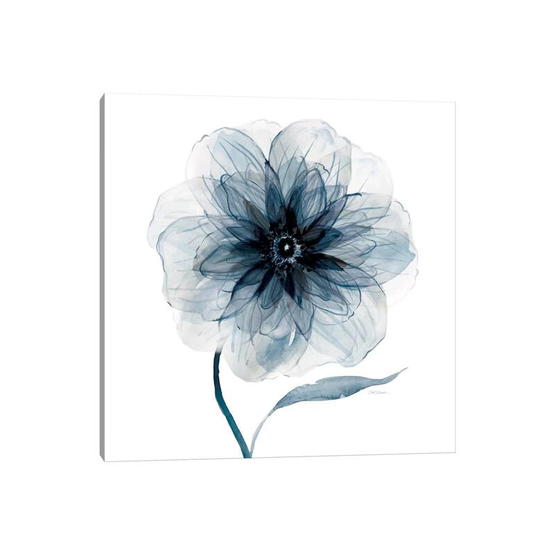 iCanvas "Indigo Bloom III" by Carol Robinson Canvas Print