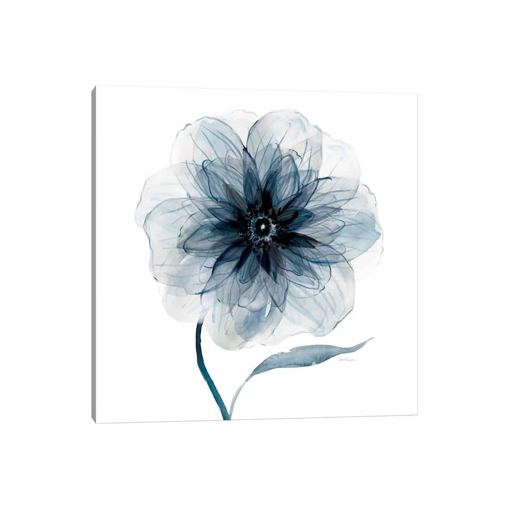 iCanvas "Indigo Bloom III" by Carol Robinson Canvas Print