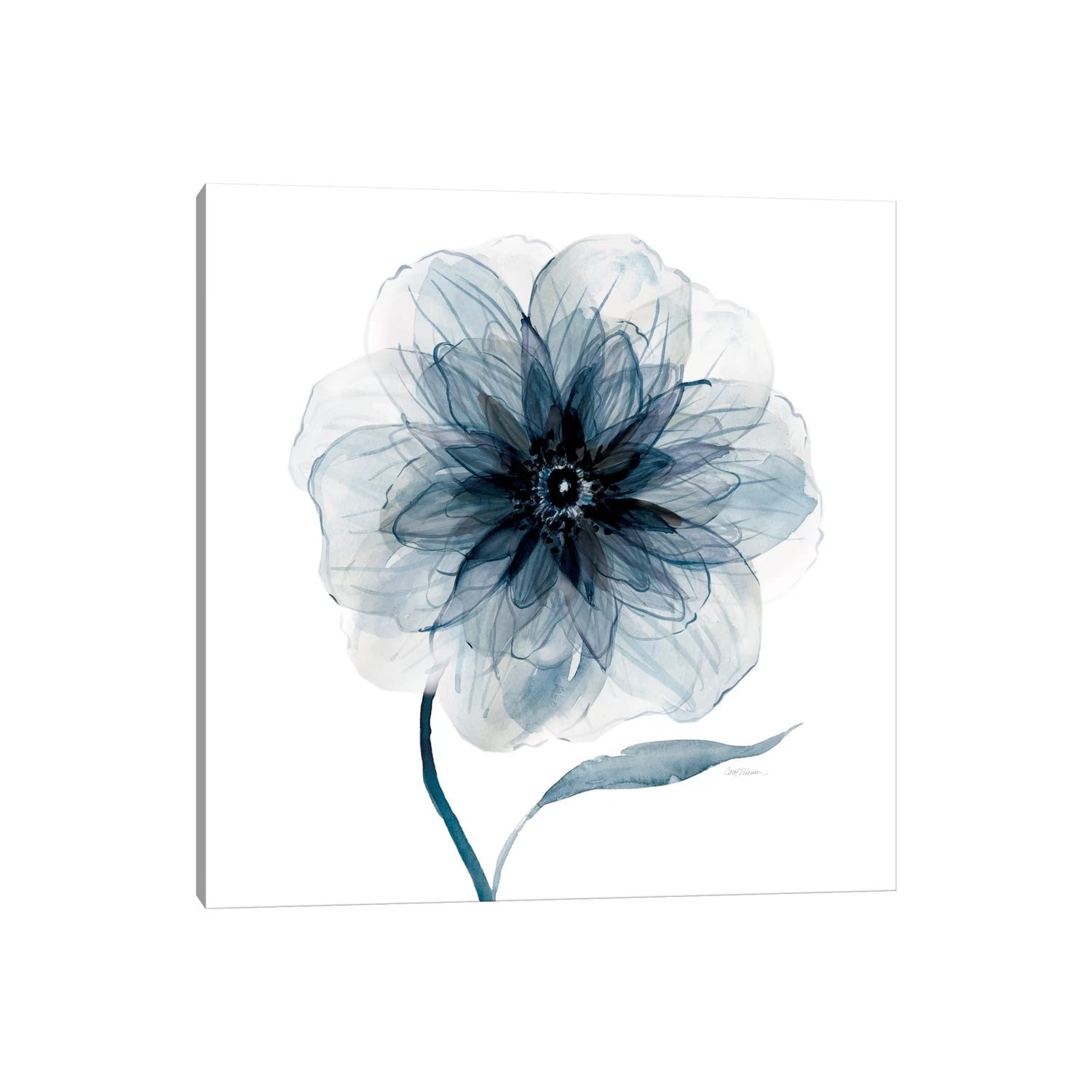 iCanvas "Indigo Bloom III" by Carol Robinson Canvas Print
