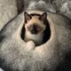 Cat Cave Bed - Charcoal & White