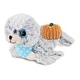 preview thumbnail 1 of 4, DolliBu Super Soft Plush Sea Lion Stuffed Animal with Pumpkin Decor - 8 inches