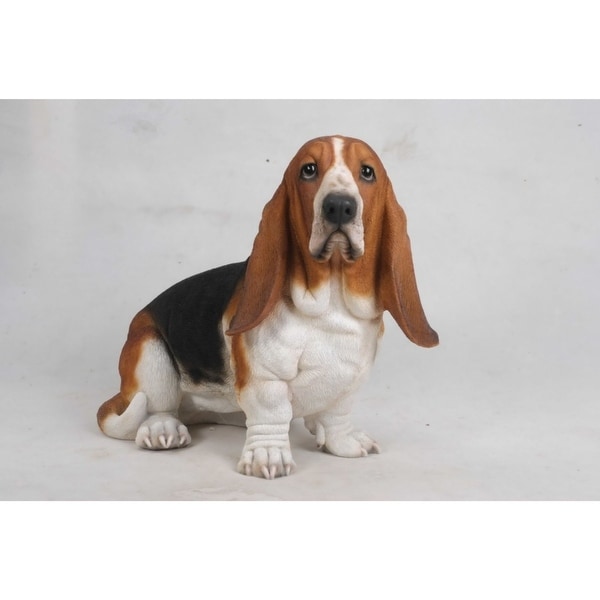 basset hound for sale