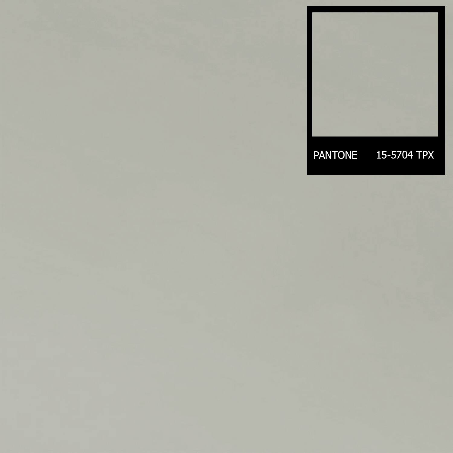 Just Linen 200 TC 100 Percent Cotton Percale Solid Color Value Pack of 4 Queen Pillow Cases On