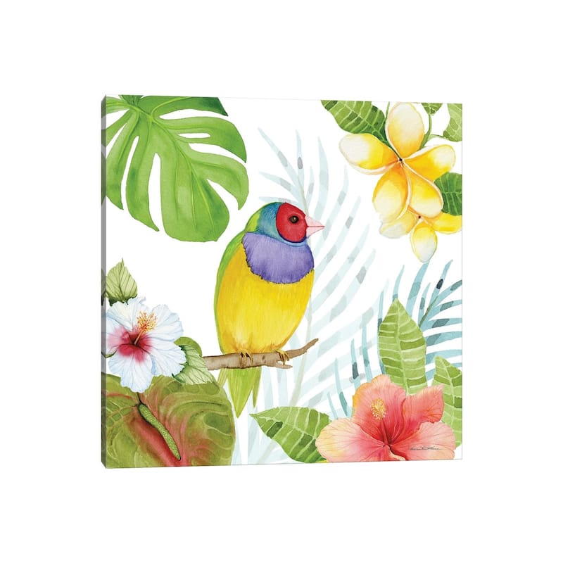 iCanvas "Treasures Of The Tropics V" by Kathleen Parr McKenna Canvas Print