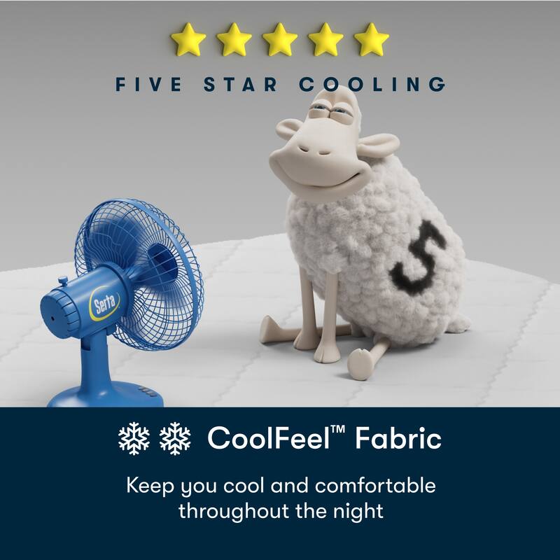 Serta Five Star Mattress Sleep to Go 14" Firm Mattress in a Box