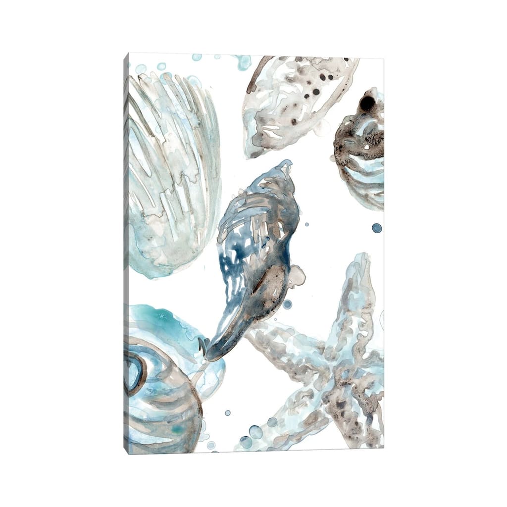 iCanvas "Cerulean Seashells III" by June Erica Vess Canvas Print