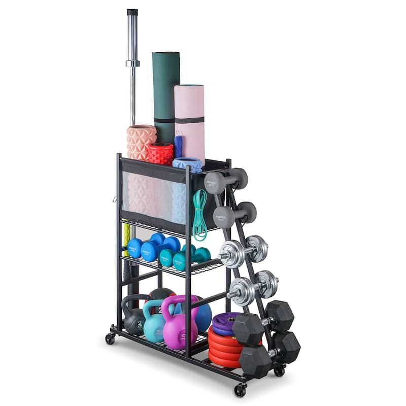 Sport Rack Dumbbell Rack Ball Organization and Storage - Black