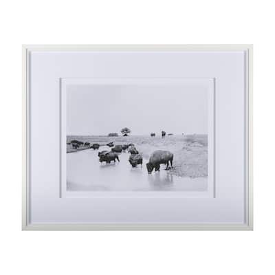 Buffalo Brook Framed Art Print