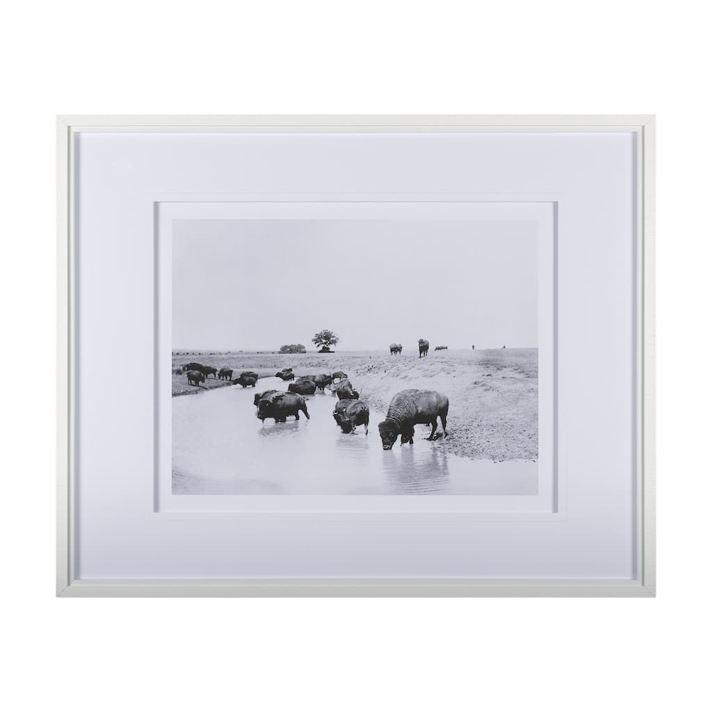 Buffalo Brook Framed Art Print