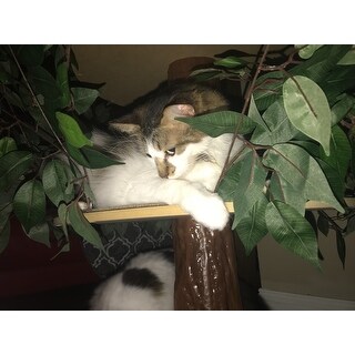 Shop On2pets Luxury Large Square Cat Tree Overstock 15299218