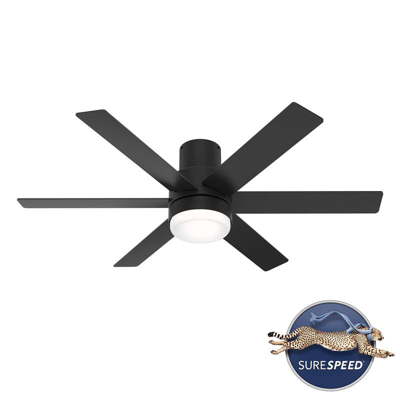 Hunter Mathers Low Profile Ceiling Fan with LED Light, Handheld Remote Modern Contemporary, Transitional
