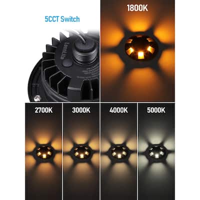 5W 5CCT Low Voltage LED In-Ground Well Light, Aluminum