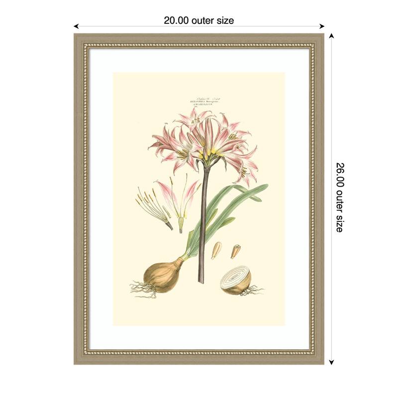 Small Blushing Pink Florals No. 2 by John Miller Wood Framed Wall Art Print