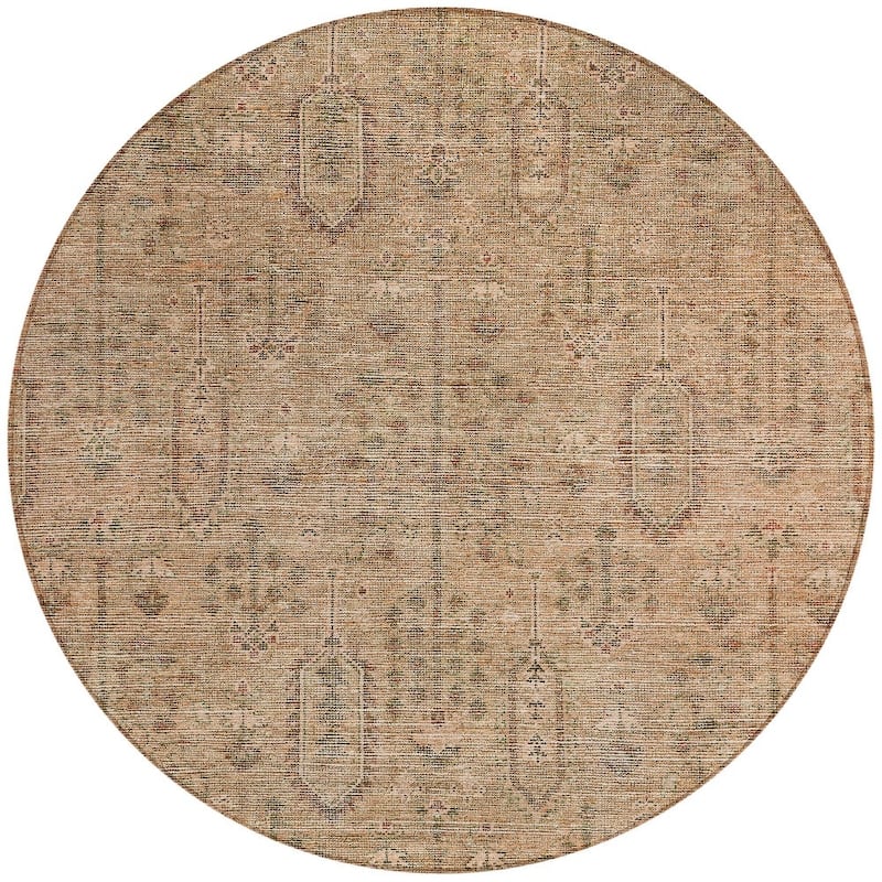 HomeRoots Southwestern Transitional Rectangle Outdoor Rug