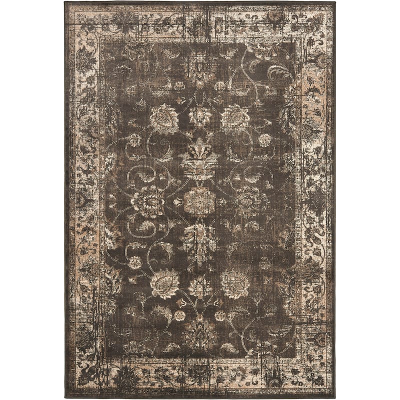 SAFAVIEH Helve Vintage Distressed Boho Oriental Area Rug