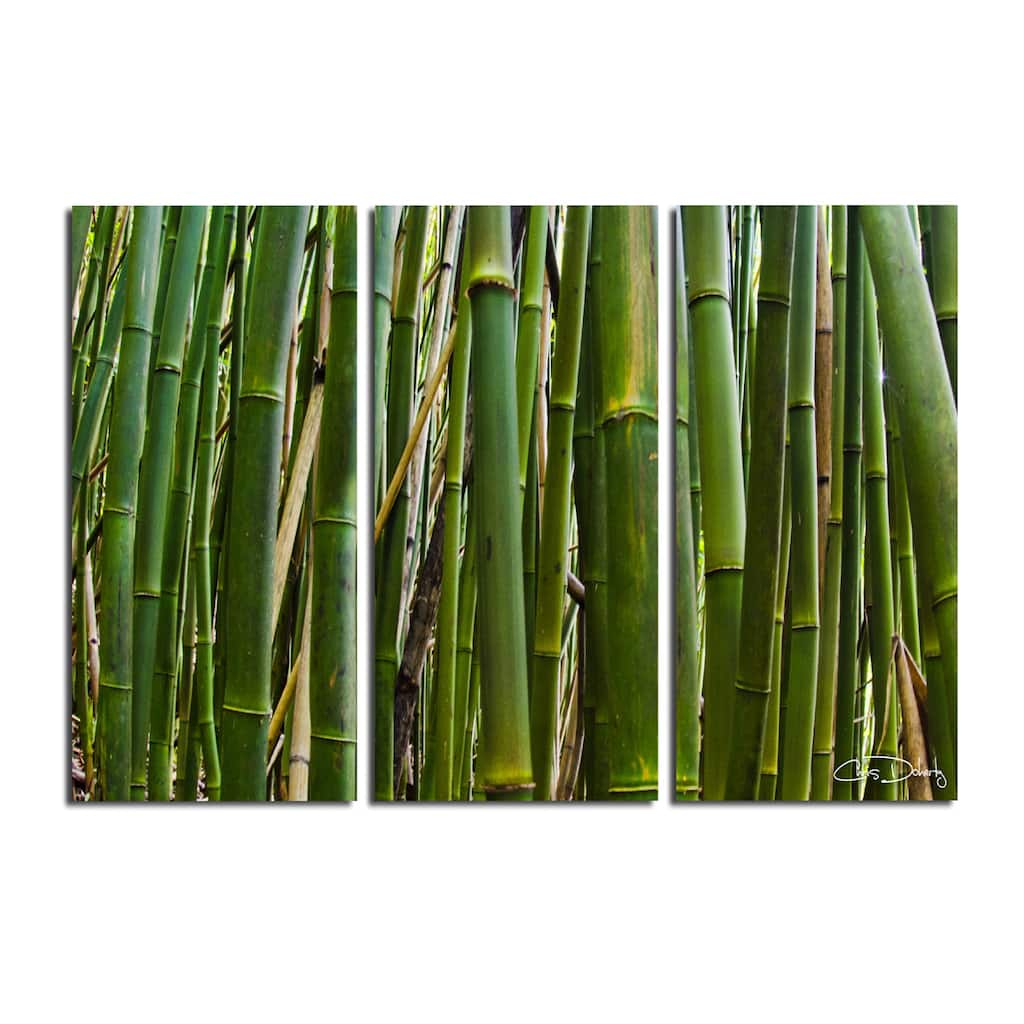 'Maui Palms II' 3-Piece Wrapped Canvas Wall Art Set by Chris Doherty - Green