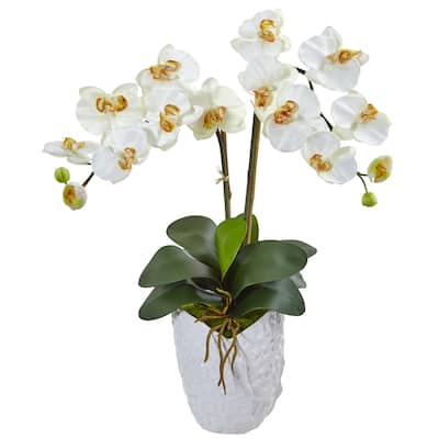 Double Phalaenopsis Orchid in White Vase - 23