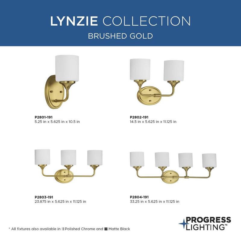 Lynzie Collection Two-Light Brushed Gold Etched Opal Glass Modern Bath Vanity Light - 14.5 in x 5.625 in x 11.125 in