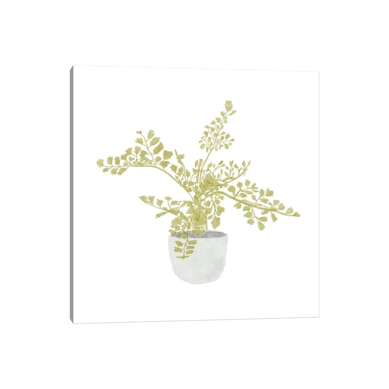 iCanvas "Potted Fern III" by Bannarot Canvas Print