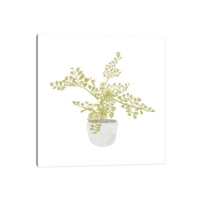 iCanvas "Potted Fern III" by Bannarot Canvas Print