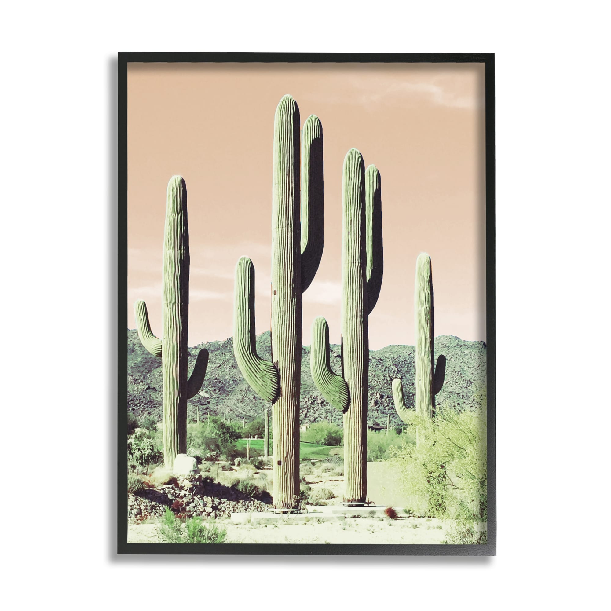 Kate and Laurel Sylvie Sunrise Cactus, Pink Cactus Flower and Cactus 25  Framed Canvas Wall Art Set by Amy Peterson Art Studio, 3 Piece Set 16x20  and