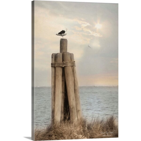 "Bird's Eye View" Canvas Wall Art