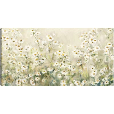 Daytime Daisies By Studio Arts Canvas Art Print