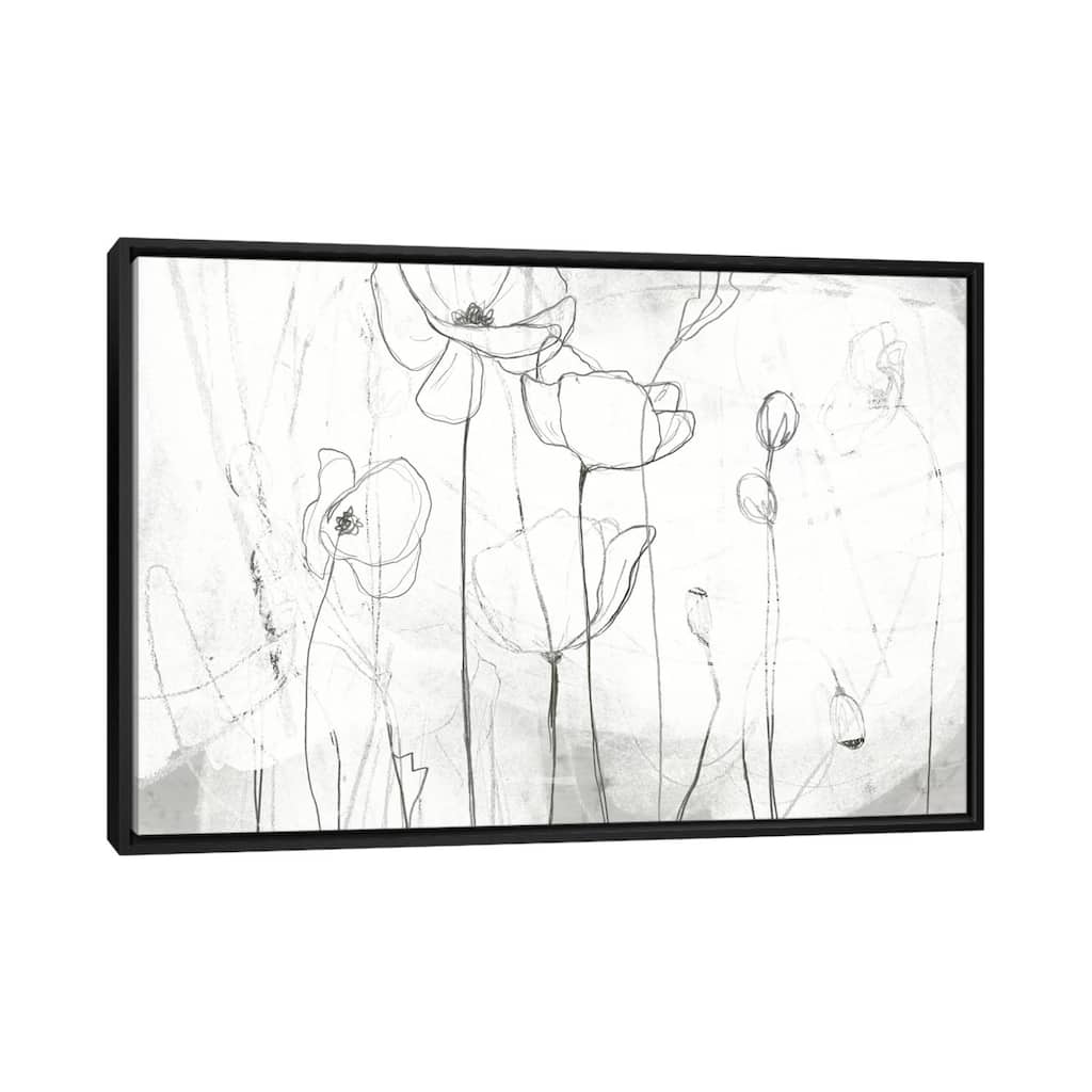 iCanvas "Poppy Sketches I" by June Erica Vess Framed Canvas Print