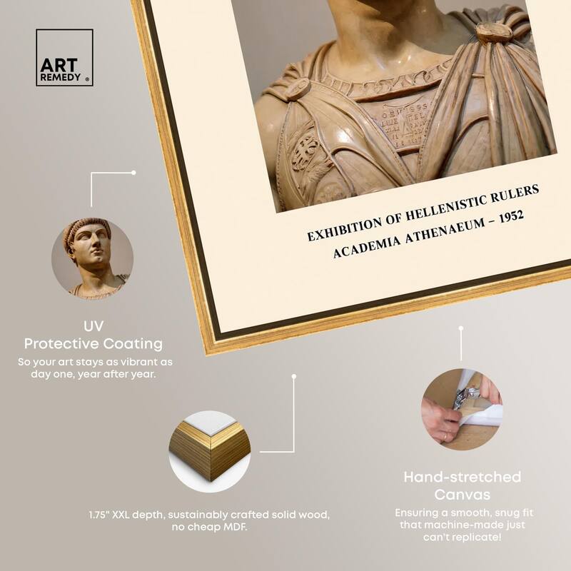 Alexander the Great Canvas by Art Remedy