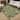 Machine Washable Indoor/ Outdoor Whimsy Critters Chantille Rug
