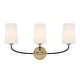 preview thumbnail 1 of 4, Crystorama Lighting Group NIL-70013 Niles 3 Light 24" Wide Vanity Black Forged / Modern Gold