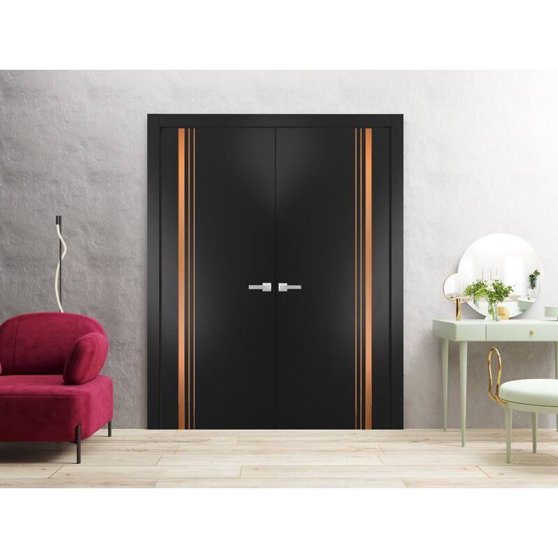 Solid French Double Doors 36 x 80 Planum 1010 Matte Black with