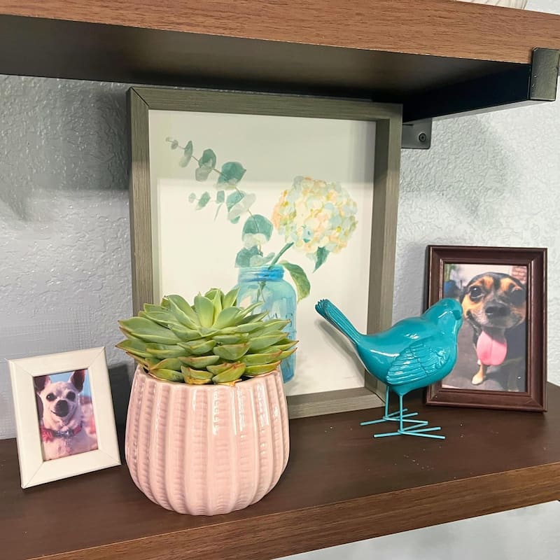 4.5 inch Ceramic Flower Pot