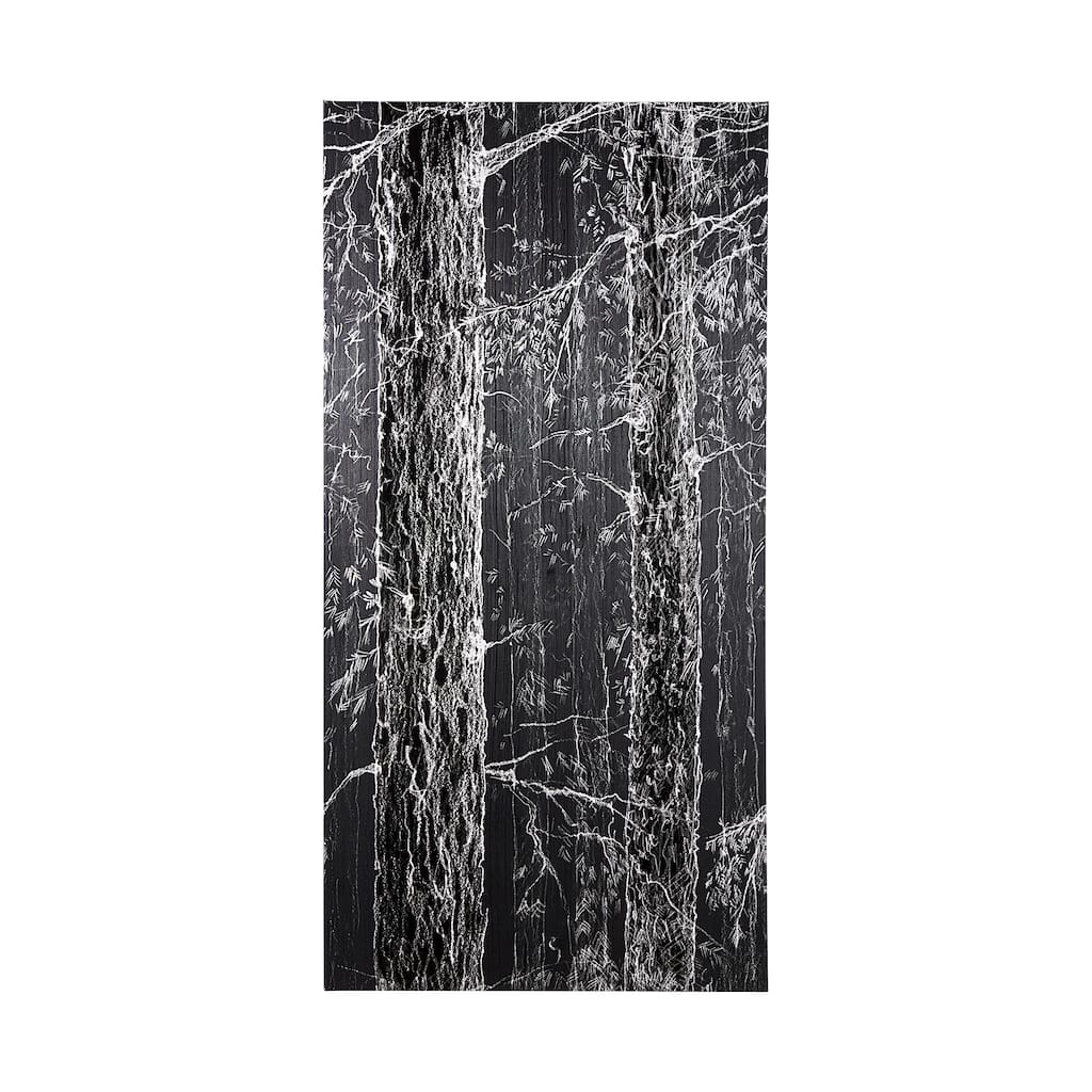 Forest BW II (40 x 80) Canvas Art Print