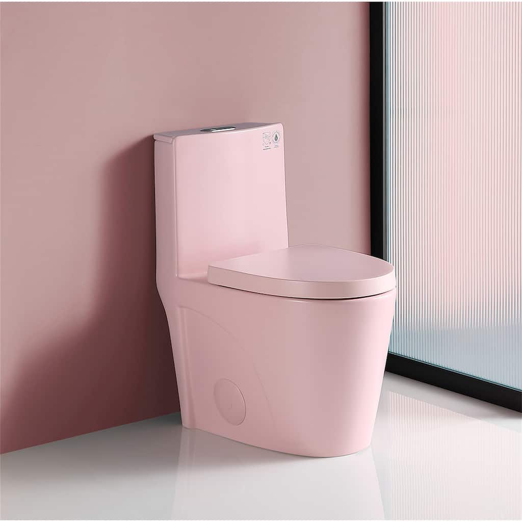 One Piece Dual-Flush Toilet