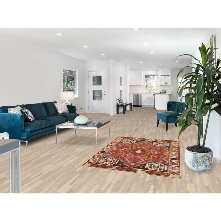 Vegetable Dye Shiraz Persian Antique Rug Hand-knotted Wool Carpet - 3'10"x 5'6"