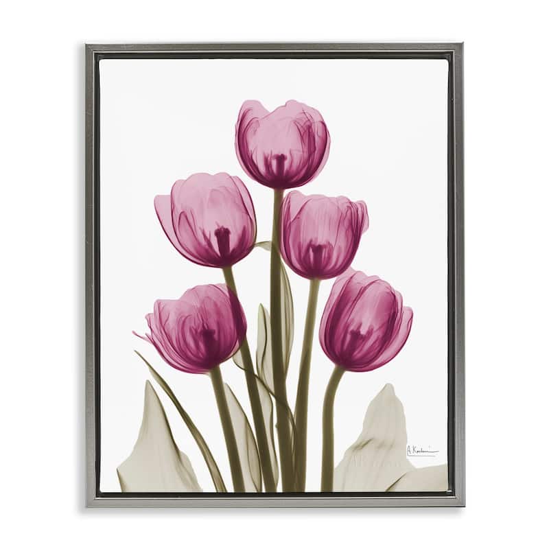 Stupell Pink X-Ray Tulips Framed Floater Canvas Wall Art Design by Albert Koetsier