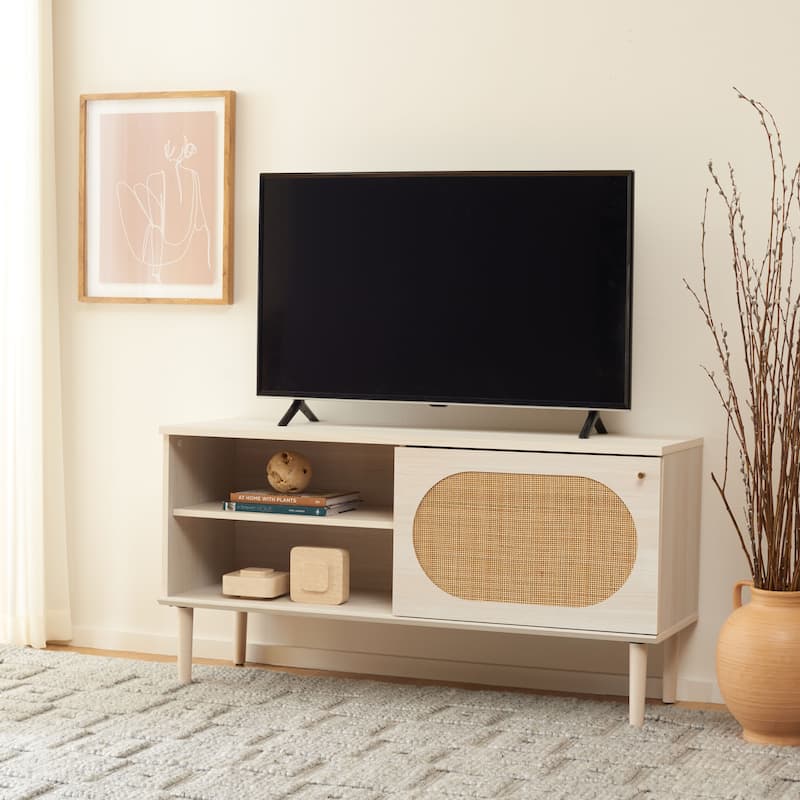 SAFAVIEH Sade Single Door 2-Shelf Media Stand - 47" W x 15" D x 24" H - 47Wx15Dx24H