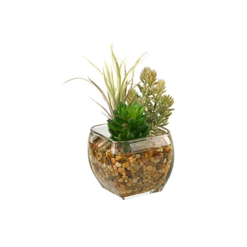 HomeStock Succulent and Flocked Burro Tail in Glass Cube - Textured Faux Plant for Contemporary Flair - 6