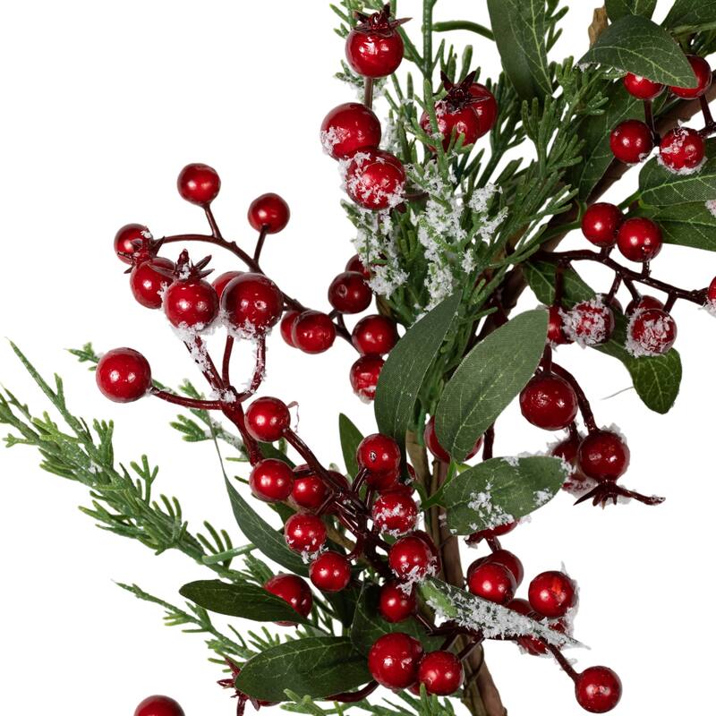 Frosted Red Berries with Leaves and Pine Artificial Christmas Wreath 18-inch Unlit - 18"