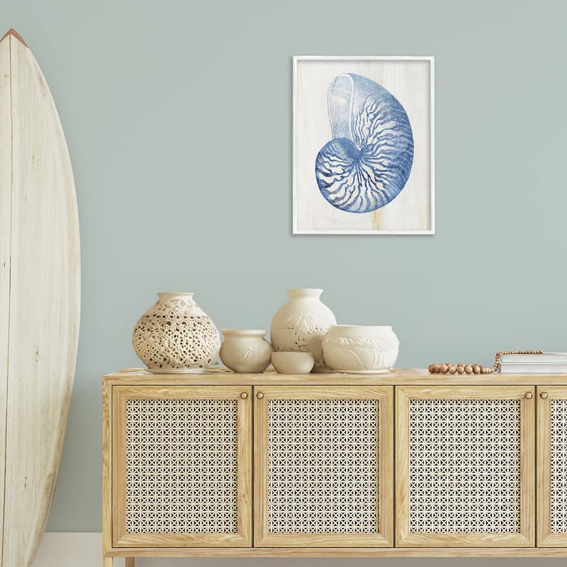 Stupell Blue Nautilus Shell Framed Giclee Art Design By Susan Arnot