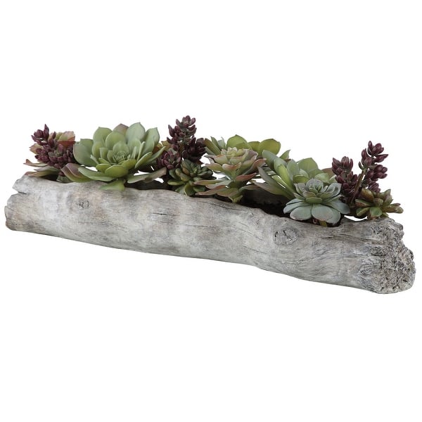 slide 2 of 4, Uttermost Charita Lush Succulents