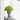 Classic Designed Cement Planter