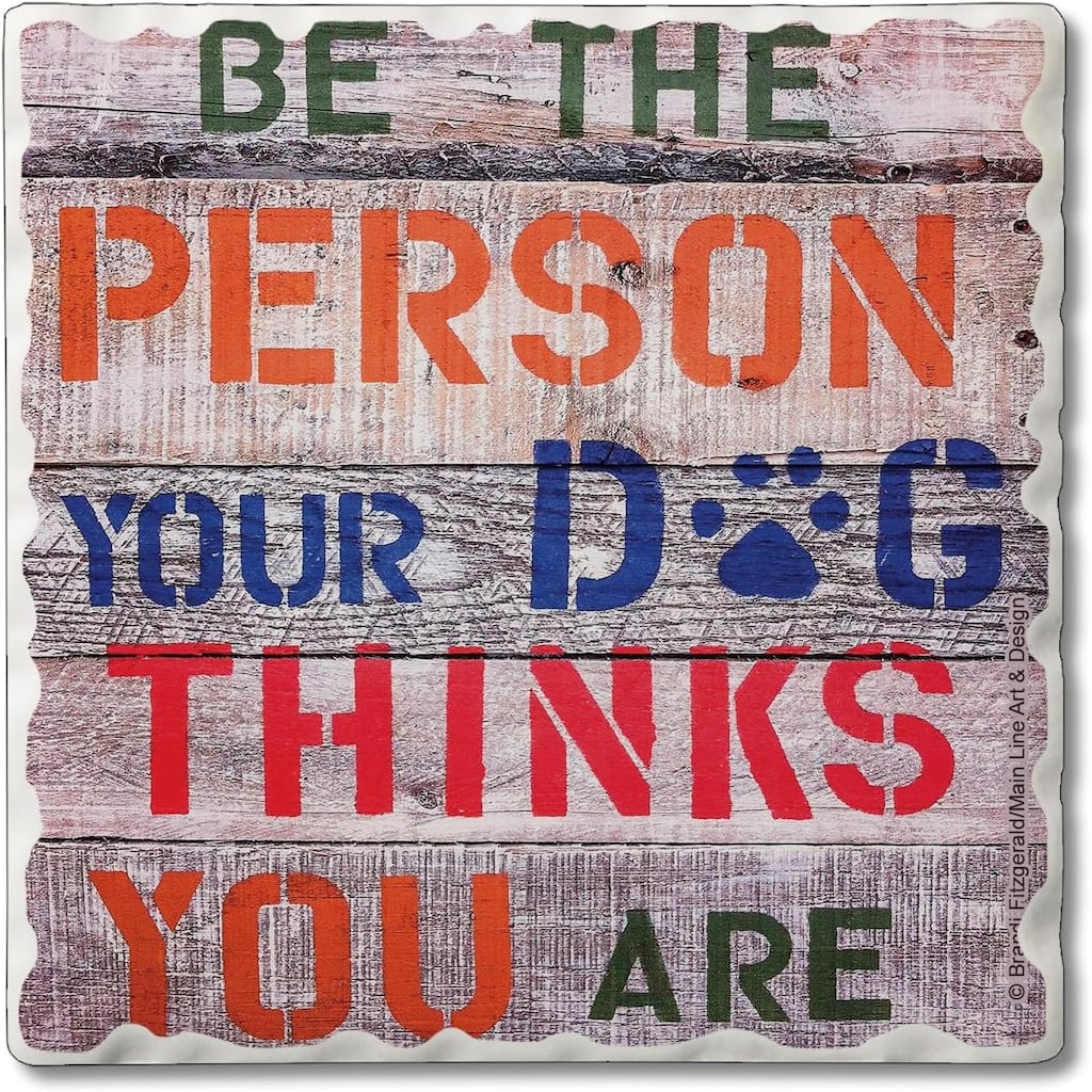Dog Thinks You are 4 Pack Single Absorbent Stone Coaster with Protective Cork Backing Made in The USA 4" Square, Wipes Clean