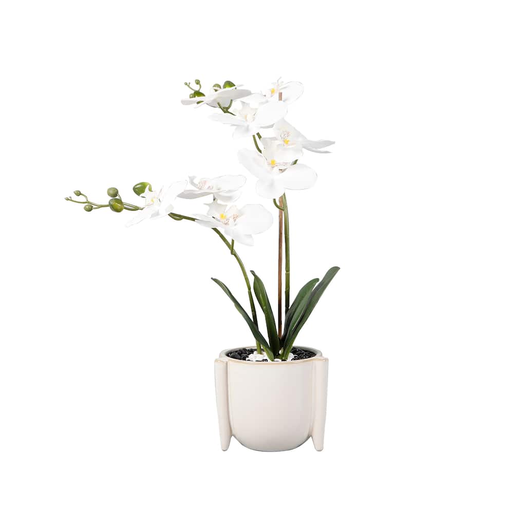 18"H Real-touch Orchids in 6" Ceramic 6*6*4.25