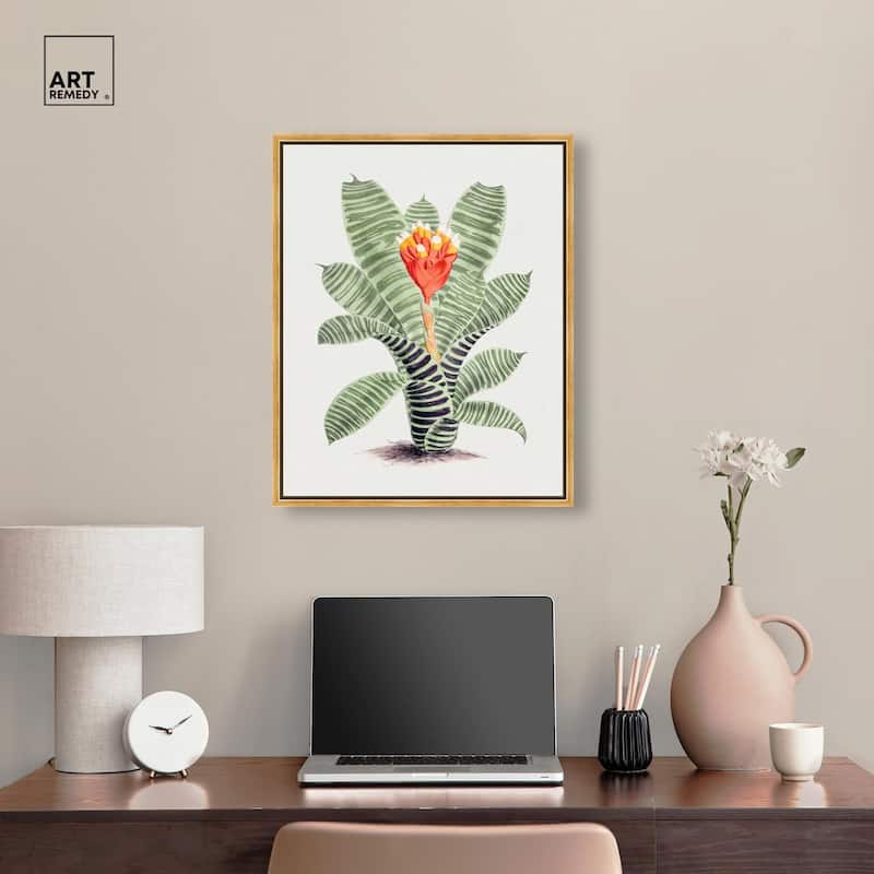 Tillandsia Musaica Plant Canvas by Art Remedy