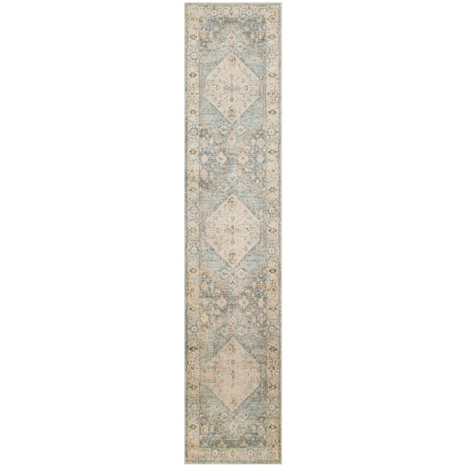 Nourison Astra Machine Washable Distressed Area Rug
