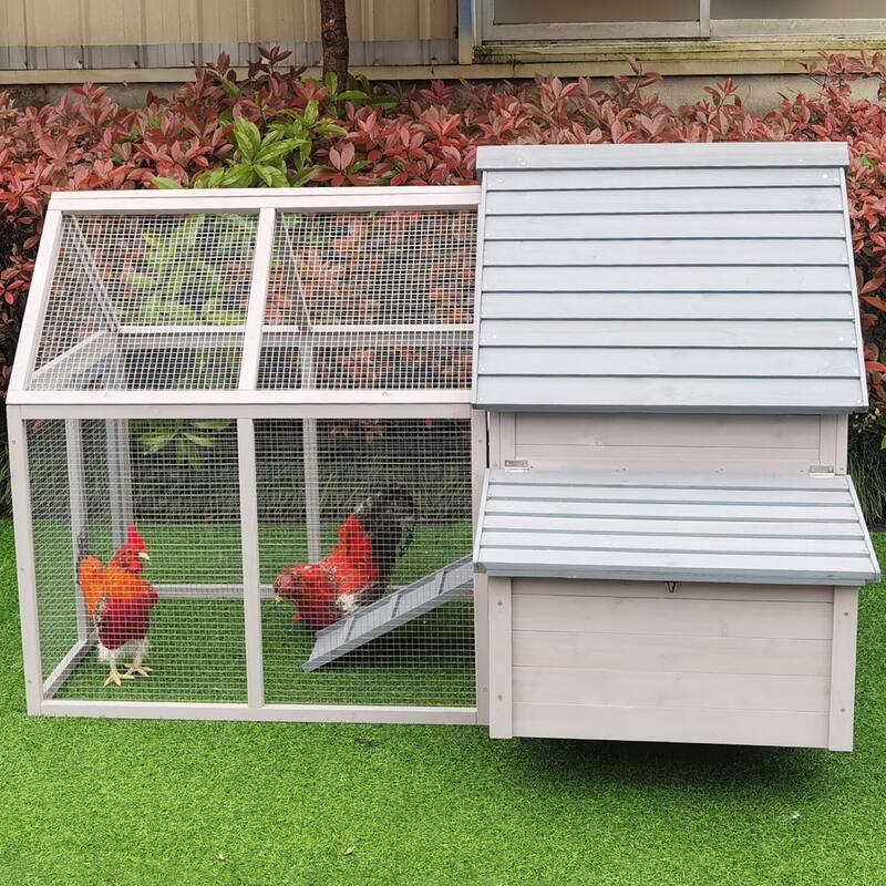 Hanover Outdoor Wooden Chicken Coop with Ramp, Wire Mesh Run, Waterproof Roof, Removable Tray 3.8-Ft. x 3.87-Ft. x 3.67-Ft.